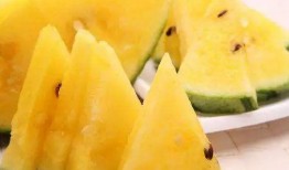 56吃瓜网 黑瓜,揭秘黑瓜背后的真相与内幕