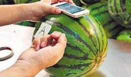 51朝阳吃瓜 潜规则是什么意思,潜规则背后的真相与影响